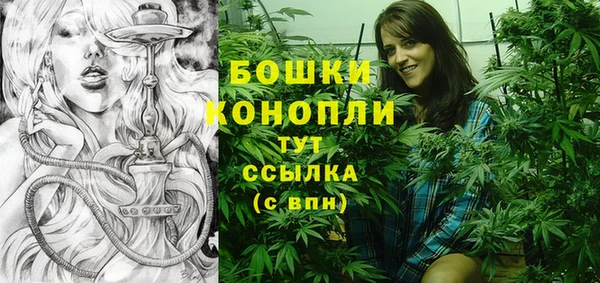 не бодяженный Бородино