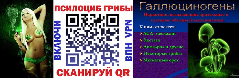 Псилоцибиновые грибы прущие грибы  где купить наркоту  mega сайт  Моздок 
